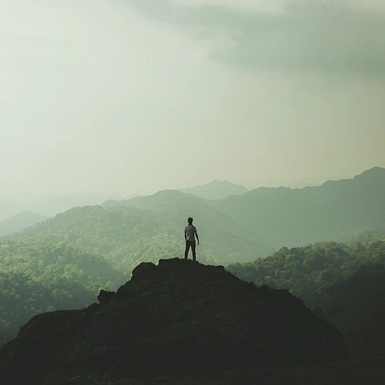 Enhancing Workforce Capabilities with Resource Augmentation Services