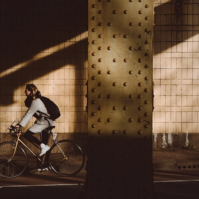 Understanding the Meaning of Being Career-Oriented