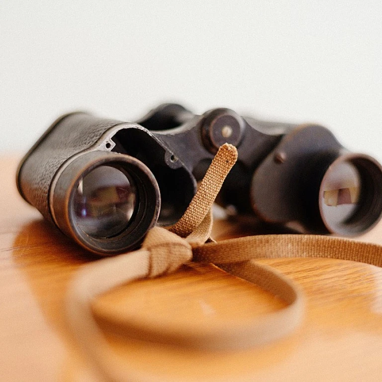 Enhancing Job Application Skills for High School Students